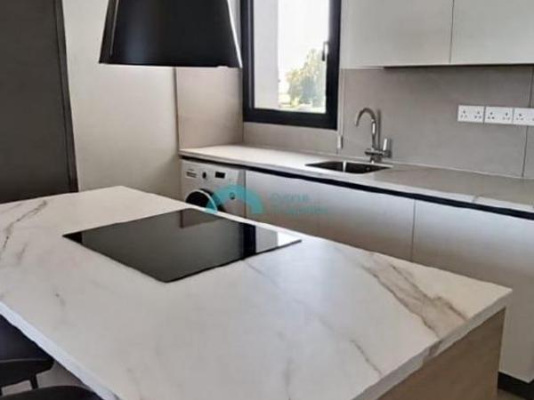 studio apartment for rent kato lakatamia nicosia 8350465 image 16330739