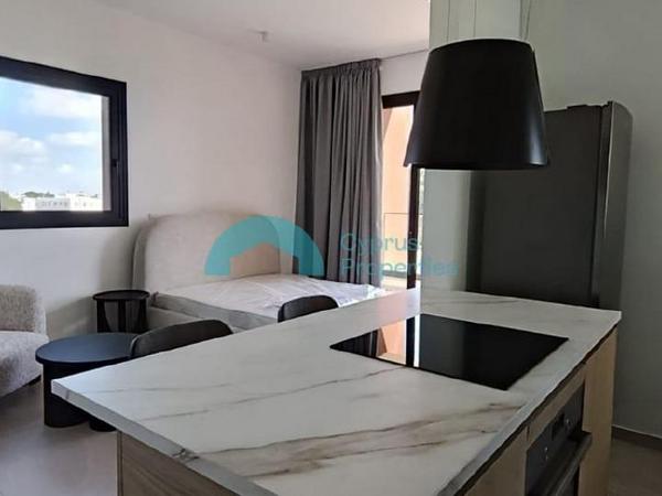studio apartment for rent kato lakatamia nicosia 8350465 image 16330744