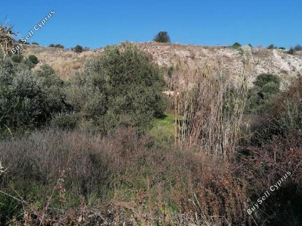 land for sale alampra nicosia 944565 image 15601589