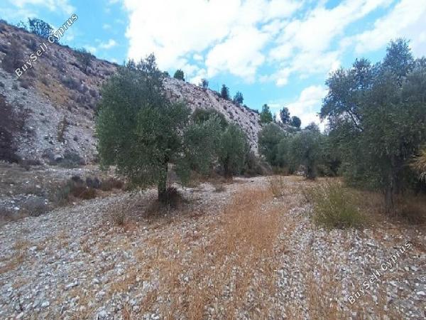 land for sale alampra nicosia 944565 image 17102796