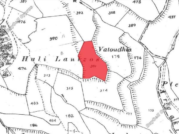 land for sale eledio paphos 826565 image 16009074