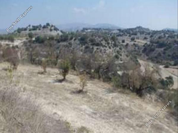 land for sale eledio paphos 826565 image 16009077