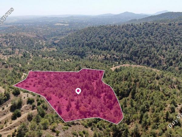 land for sale kapedes nicosia 8629565 image 15868970