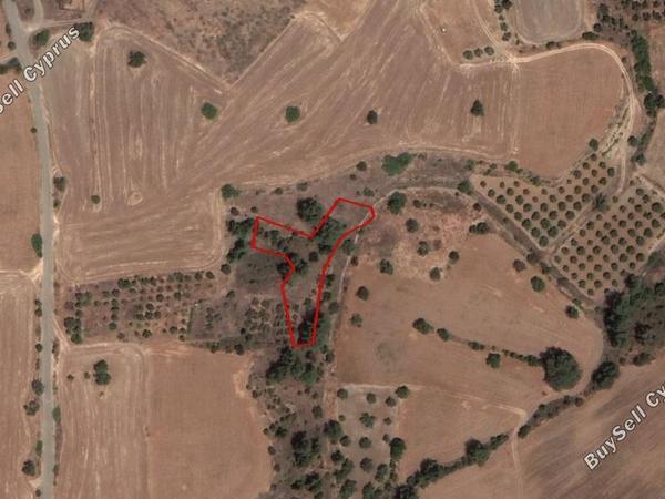 land for sale mitsero nicosia 934565 image 15664198