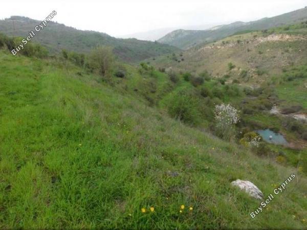 land for sale pentalia paphos 8630565 image 16278031