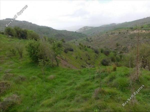 land for sale pentalia paphos 8630565 image 16278032
