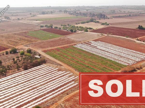 land sold potamos liopetriou famagusta 1182565 image 3555281