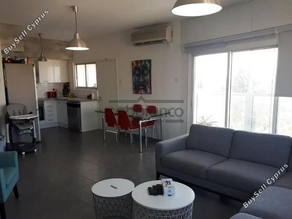 2 bedroom apartment for rent agios andreas nicosia nicosia 8748665 image 16467412