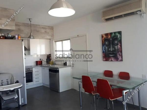 2 bedroom apartment for rent agios andreas nicosia nicosia 8748665 image 16467414