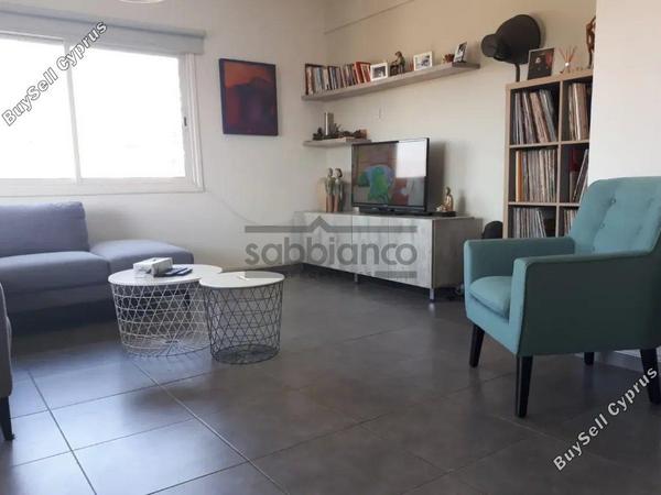 2 bedroom apartment for rent agios andreas nicosia nicosia 8748665 image 16467416