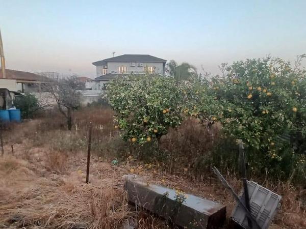 3 bedroom bungalow for sale xylotymvou larnaca 8087665 image 13143507
