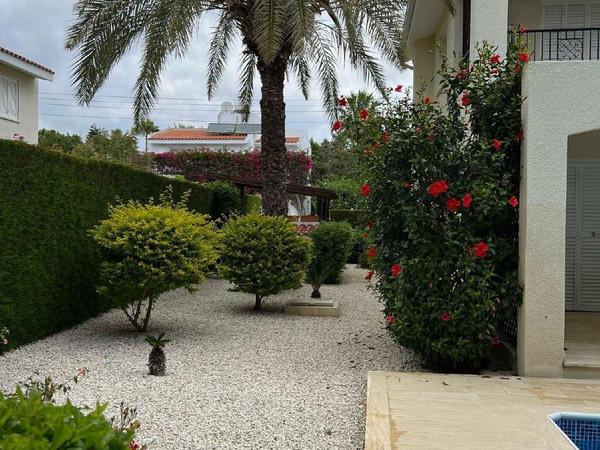 3 bedroom detached house for sale coral bay paphos 1744665 image 14663194