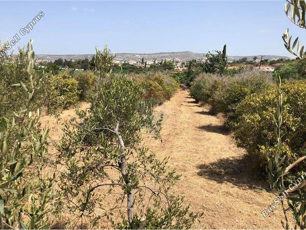 land for sale peyia paphos 1504665 image 16415705