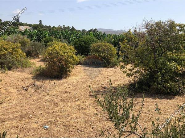 land for sale peyia paphos 1504665 image 16415708
