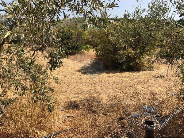 land for sale peyia paphos 1504665 image 17043084