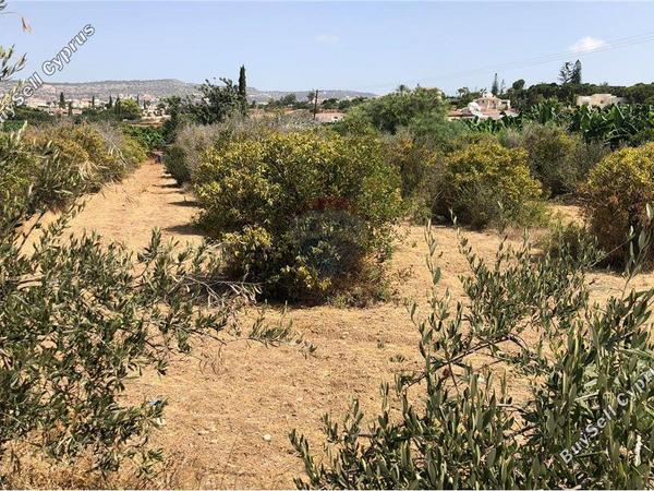 land for sale peyia paphos 1504665 image 17117933