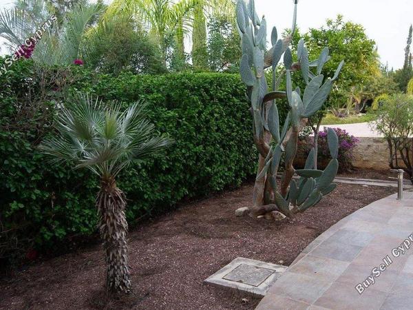 3 bedroom detached house for sale mazotos larnaca 1681865 image 4379400