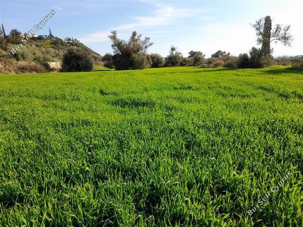 land for sale choirokoitia larnaca 1060865 image 16188006