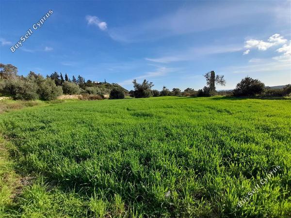 land for sale choirokoitia larnaca 1060865 image 16188010