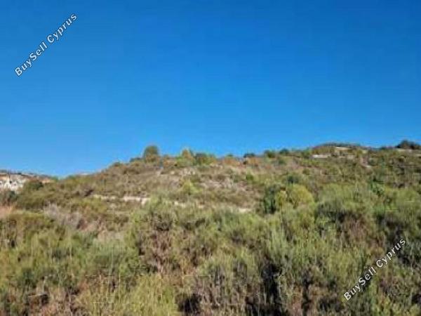 land for sale dora limassol 1707865 image 15597478