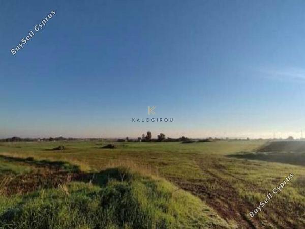 land for sale xylofagou larnaca 8145865 image 13426201