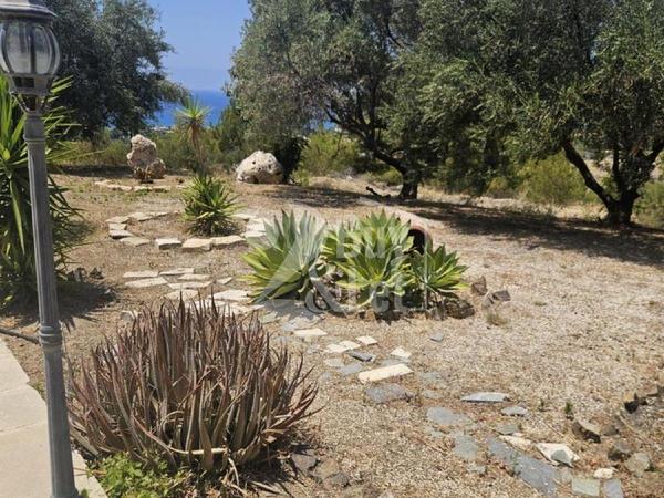 4 bedroom detached house for sale agia marina chrysochous paphos 1896965 image 7213740
