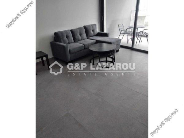 1 bedroom apartment for rent parissinos nicosia 8112075 image 16335157