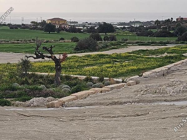 3 bedroom bungalow for sale maroni larnaca 8743075 image 16527878