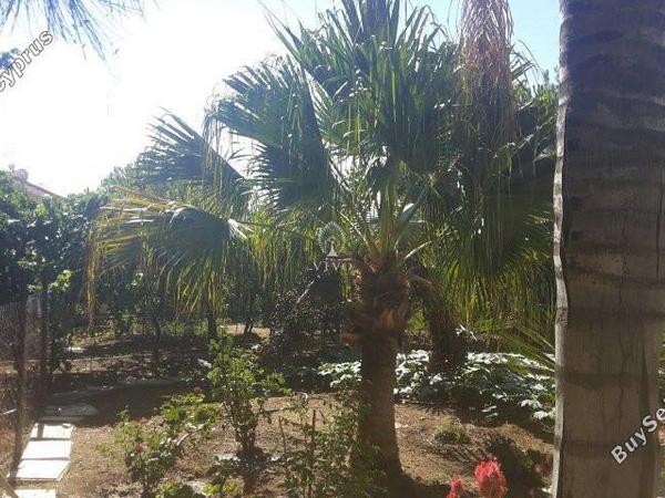5 bedroom detached house for sale kalo chorio lemesou limassol 979075 image 6257323