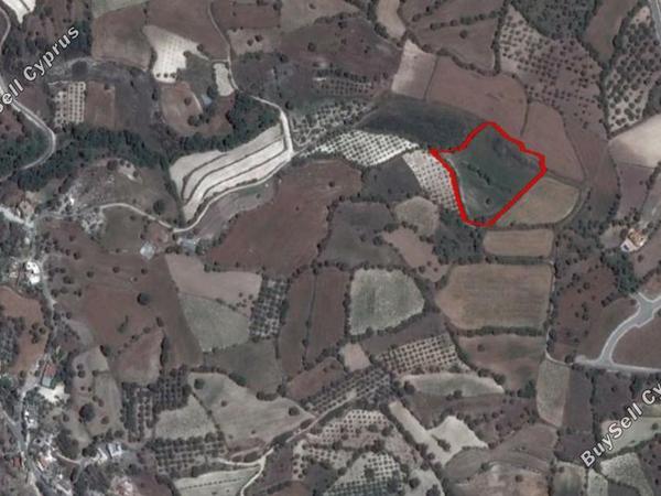 land for sale lasa paphos 8630075 image 16879524