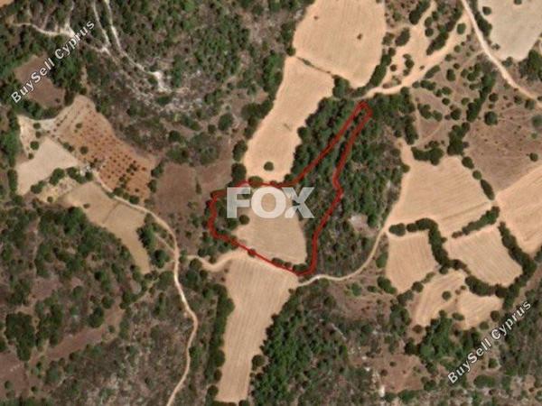 land for sale lysos paphos 1159075 image 5517147