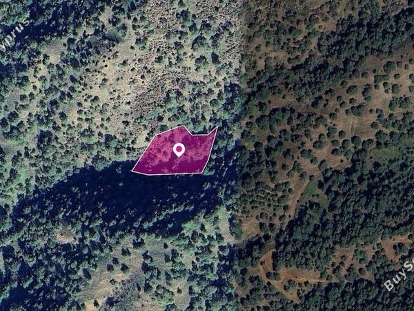 land for sale pomos paphos 8396075 image 14823591