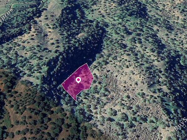 land for sale pomos paphos 8396075 image 14823592