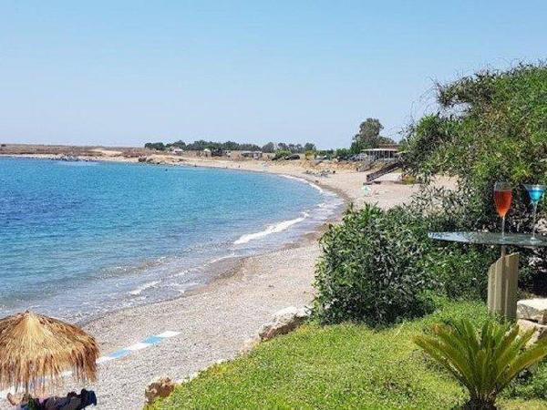 plot for sale timi paphos 1684075 image 9277560