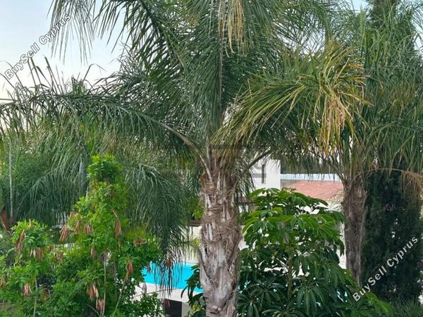 2 bedroom apartment for sale kalavasos larnaca 8917175 image 17520285