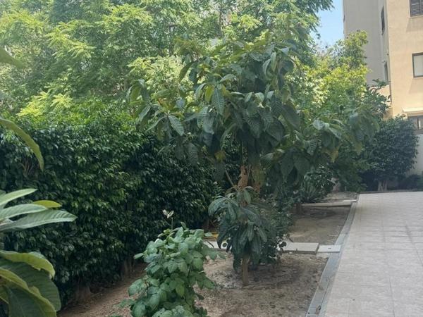 4 bedroom apartment for sale agioi omologitai nicosia 8360175 image 14544585