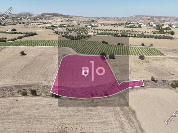land for sale episkopeio nicosia 8275175 image 16594985