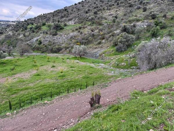 land for sale nata paphos 8382175 image 14703287