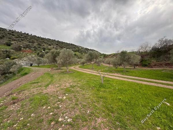 land for sale nata paphos 8382175 image 14703295