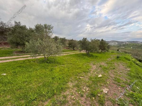 land for sale nata paphos 8382175 image 14703296