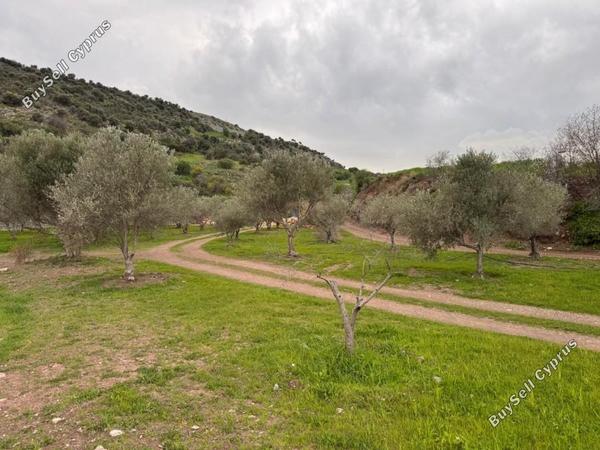 land for sale nata paphos 8382175 image 14703297