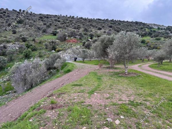 land for sale nata paphos 8382175 image 14703298