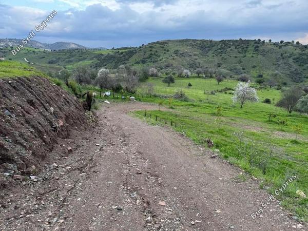 land for sale nata paphos 8382175 image 14703299
