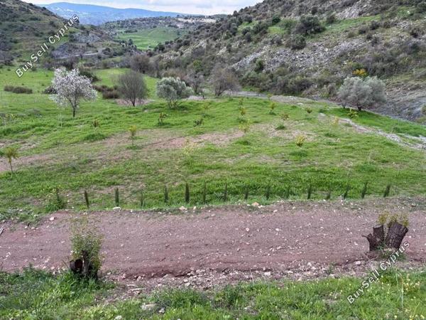 land for sale nata paphos 8382175 image 14703300