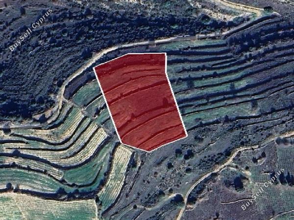 land for sale pachna limassol 8716175 image 16294758