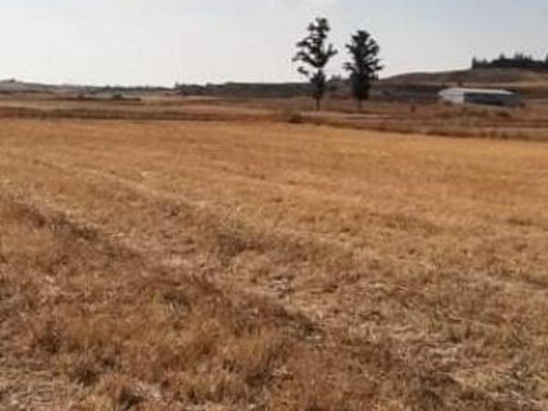 land for sale palaiometocho nicosia 1098175 image 16180328