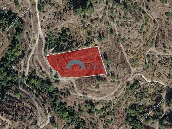 land for sale pelendri limassol 8804175 image 16776767