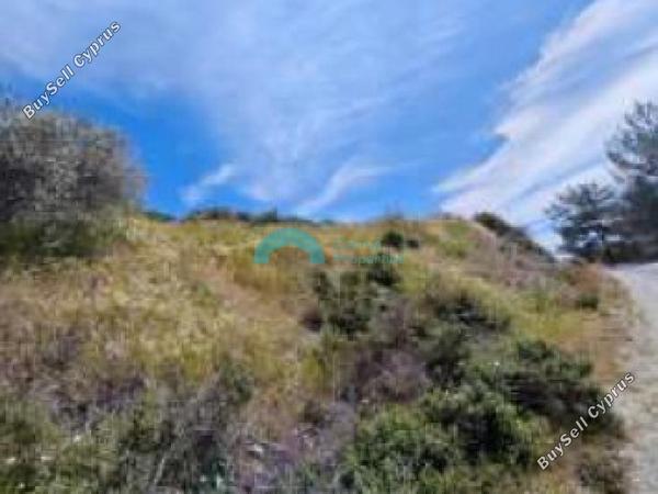 land for sale pelendri limassol 8804175 image 16776769