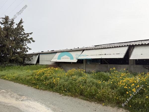 studio warehouse for sale aradippou larnaca 8442175 image 15093946