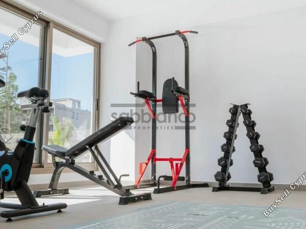 2 bedroom apartment for sale kato paphos paphos 8752275 image 16500566